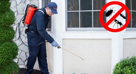 Çıldır Böcek İlaçlama böcek ilaçlama ve haşere kontrolü — ilaclama-tr.com